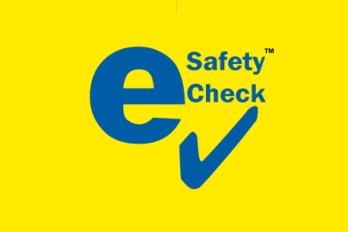 E-Safety Check (Rego Check)